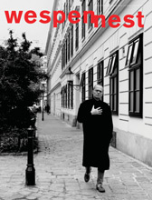 Wespennest Nr.127