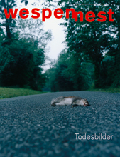 Wespennest Nr.137