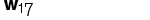 Wespennest Nr.17
