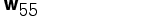 Wespennest Nr.55