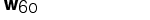 Wespennest Nr.60