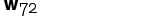 Wespennest Nr.72