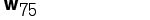 Wespennest Nr.75