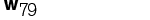 Wespennest Nr.79